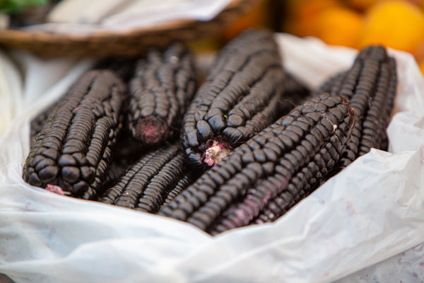 Aztec Black Corn - Ancient Heirloom