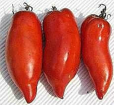 Jersey Devil - Heirloom Tomato