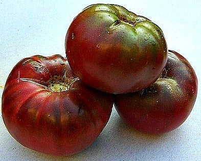 Black Sea Man - Heirloom Tomato
