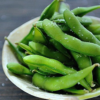 thumbnail image 2 of 20 Organic Midori Giant Soybean Seeds – Edamame, Glycine Max, Home Vegetable Garden 2 of 6