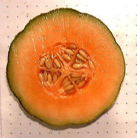 Charentais  - French Heirloom Melon
