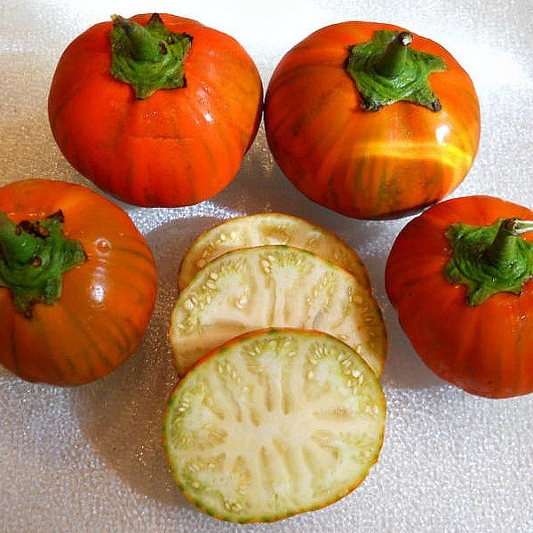 Brazilian Red Eggplant  Solanum gilo