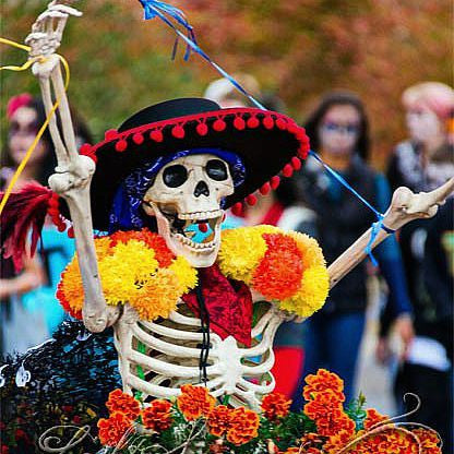 Day of the Dead Marigold - Tagetes erecta