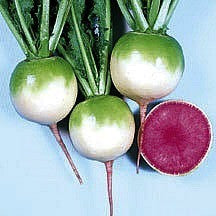 Watermelon Radish - Asian Heirloom