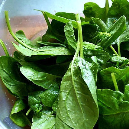 Baby Spinach - Heirloom Bloomsdale