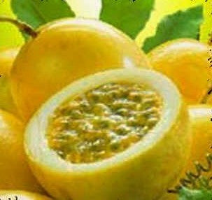 Passiflora edulis flavicarpa - Lilikoi