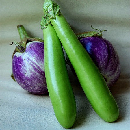 chef's garden seeds Thai Chef's Garden