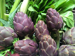 Purple Artichoke - Violette de Provence