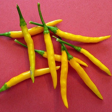 Hot Chili Pepper Collection - Exotic Varieties