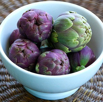 Purple Artichoke - Violette de Provence