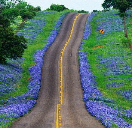 In Texas.