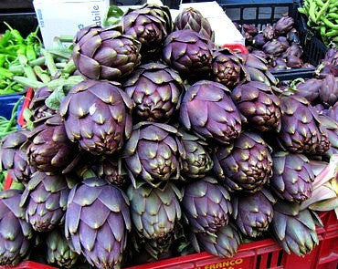 Purple Artichoke - Violette de Provence