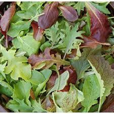 Spicy Mesclun Mix - 15 Baby Greens