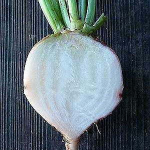 Rainbow Beet Collection - Four Heirlooms