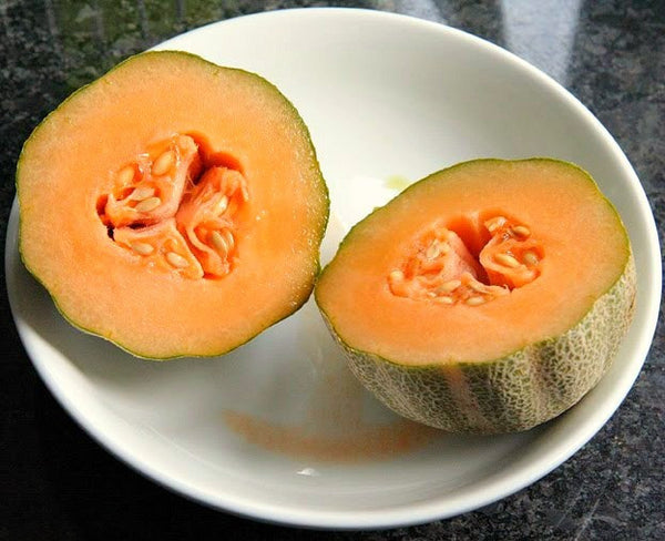 Minnesota Midget Melon - Cucumis melo