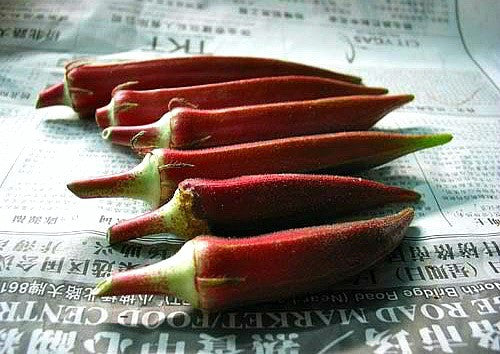 Red Velvet Okra - Southern Heirloom