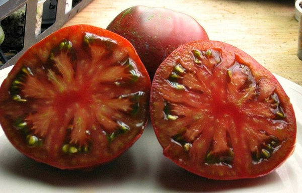 Paul Robeson - Heirloom Tomato