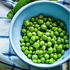 Half-Pint Pea - Miniature Heirloom