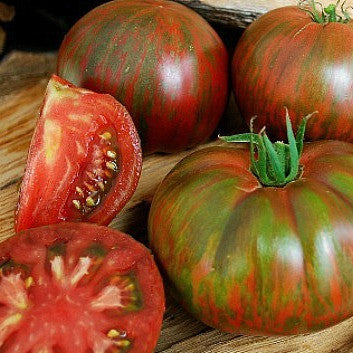 Berkeley Tie Dye Pink - Amazing Tomato