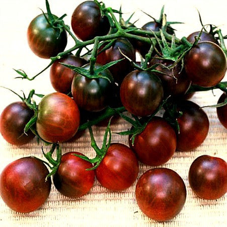 Cherry Tomato Collection - Five Heirlooms