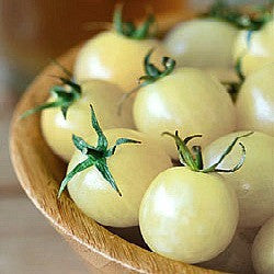 Cherry Tomato Collection - Five Heirlooms