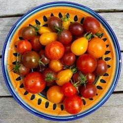 Cherry Tomato Collection - Five Heirlooms