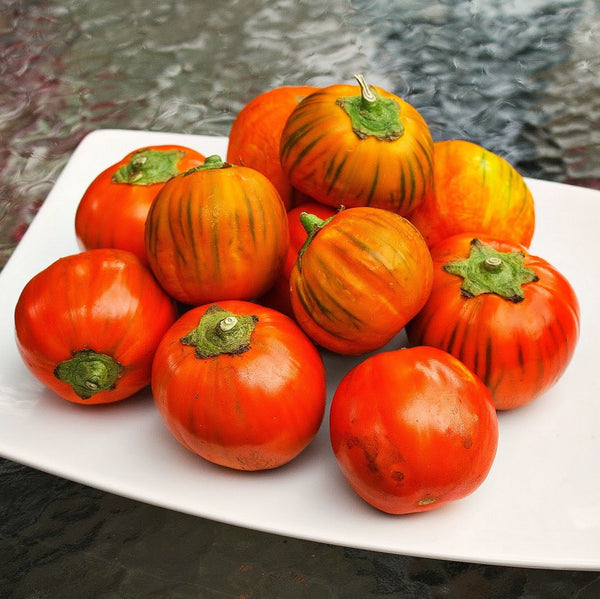 Brazilian Red Eggplant  Solanum gilo