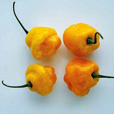 Trinidad Perfume  Heirloom Pepper