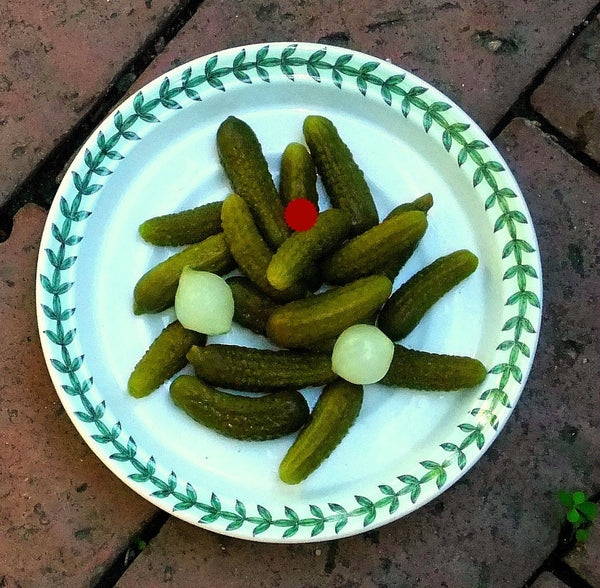 French Cornichons - Pickling Cucumbers