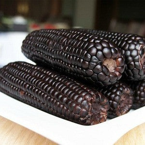 Aztec Black Corn - Ancient Heirloom