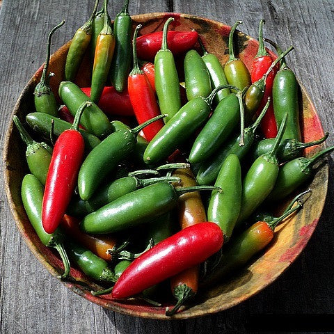 Serrano Chile -  Heirloom Pepper