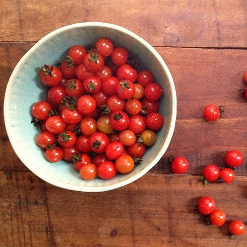 Matt's Wild Cherry - Heirloom Tomato
