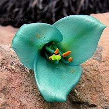 Puya alpestris - Sapphire Tower