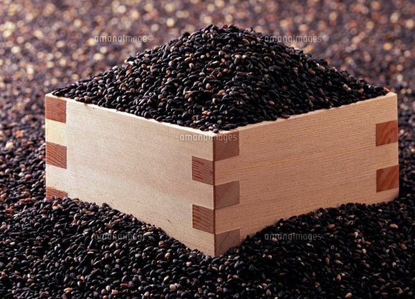 Black Sesame 'Kurogoma' - Sesame indicum