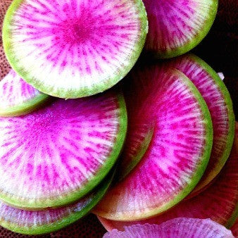 Watermelon Radish - Asian Heirloom