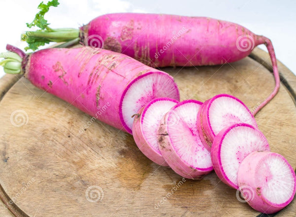 Pusa Gulabi  Exotic Pink Radish