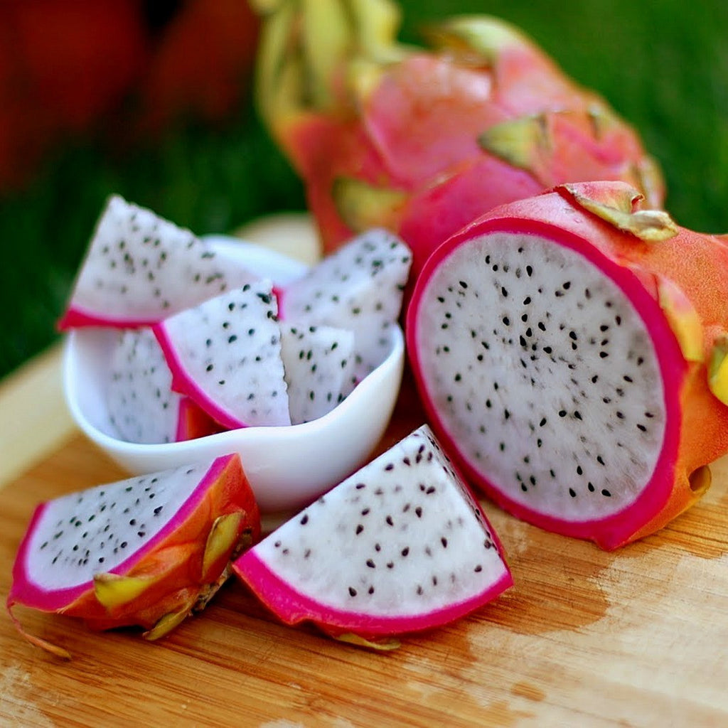 Dragon Fruit - Hylocereus triangularis – Smart Seeds Emporium