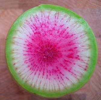 Watermelon Radish - Asian Heirloom