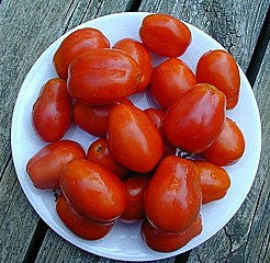 Rio Grande - Heirloom Tomato