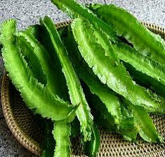 Winged Bean  Psophocarpus tetragonolobus