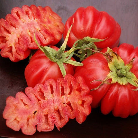 Zapotec Pleated - Heirloom Tomato