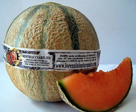 Tuscany Melon   Italian Heirloom