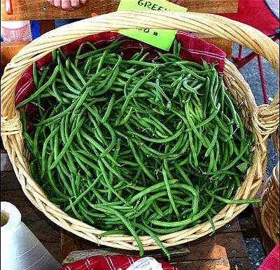 Fin de Bagnol - French Green Bean