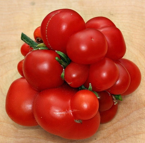 Reisetomate - Heirloom Tomato
