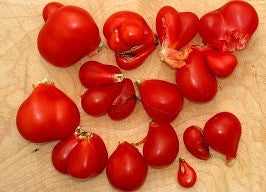 Reisetomate - Heirloom Tomato
