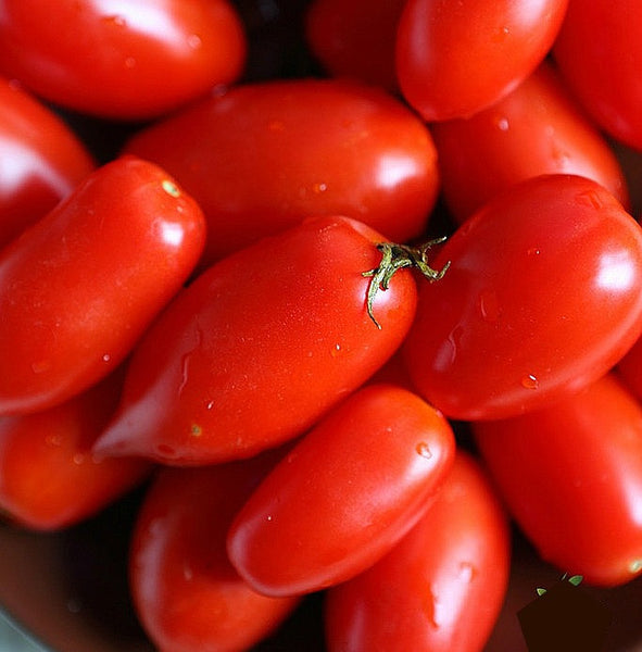 Rio Grande - Heirloom Tomato