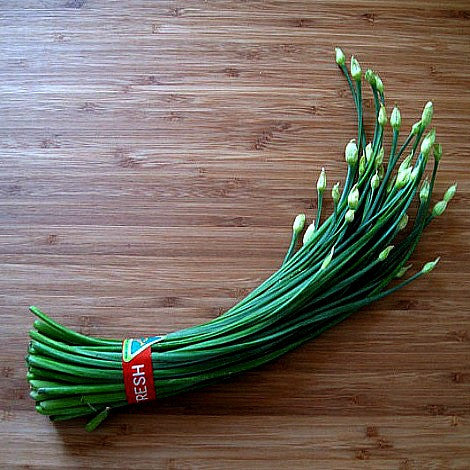 Garlic Chives - Ornamental Allium