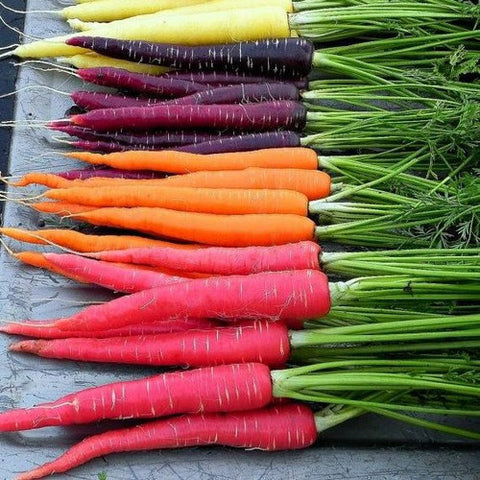 Rainbow Carrot Mix   Seven Crazy Colors