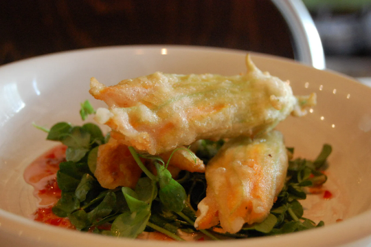 Cocozelle Zucchini