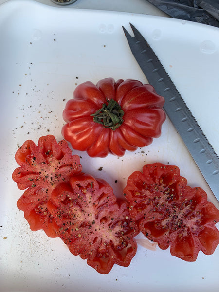 Zapotec Pleated - Heirloom Tomato